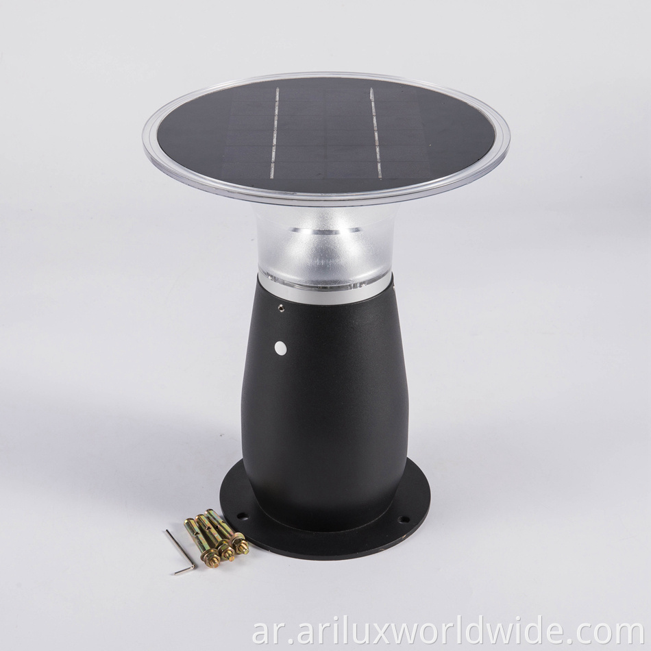 Solar Garden Lights 8